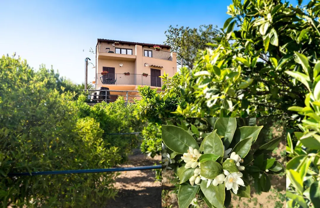 Parco dei Templi-1